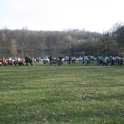 IMG 0182  Medium - Scouts en Gidsen Zaventem 